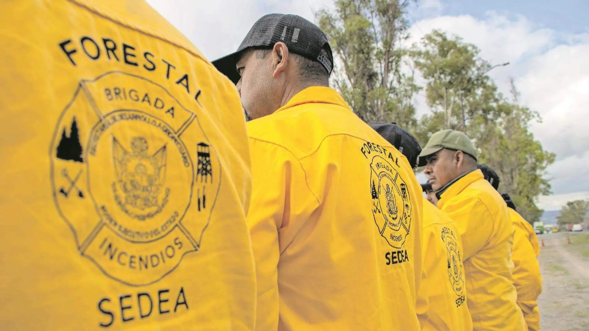 Incendios forestales